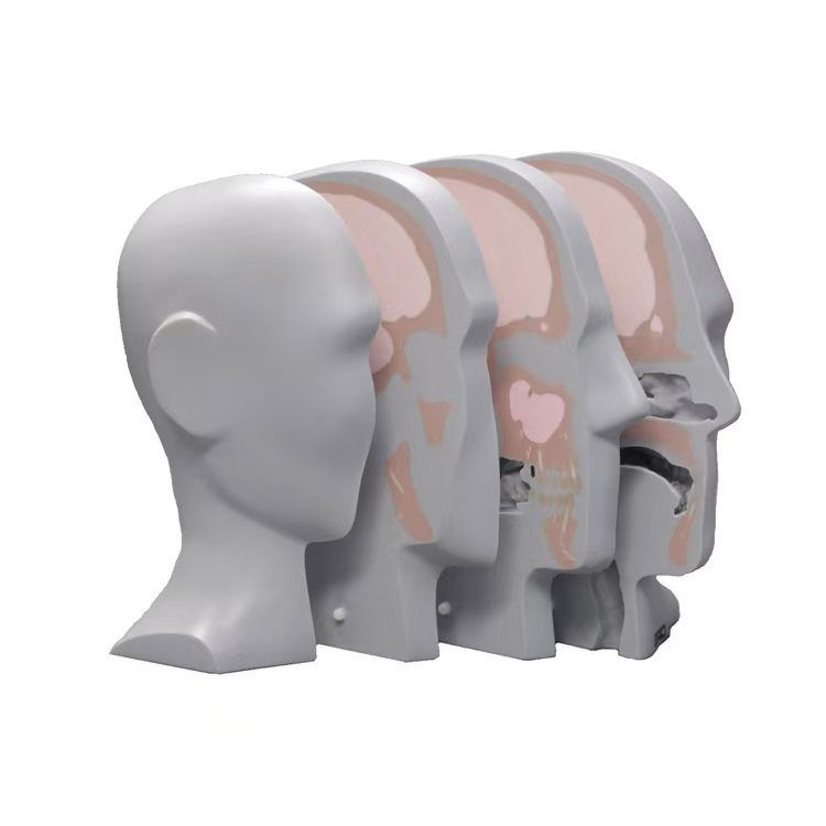 ���� CIRS 731-HN ͷ������ģ��