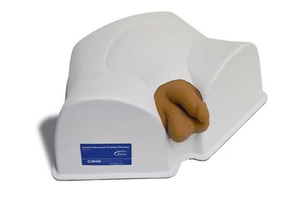 ���� CIRS 504A ���ҳ���ѵ��ģ��