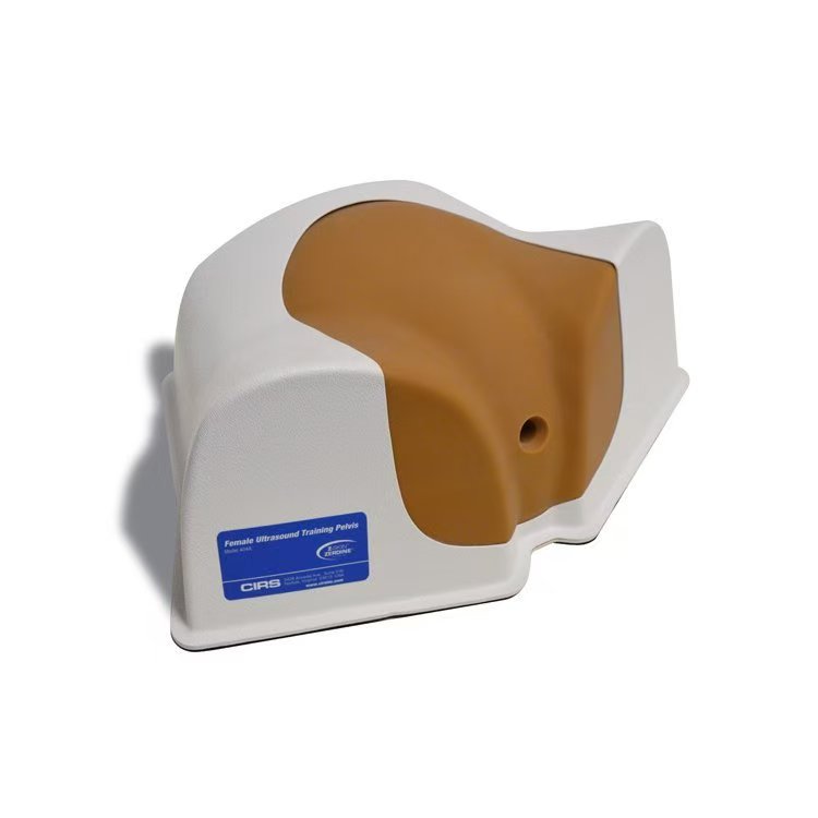 ���� CIRS 404A Ů�Գ���ѵ�����ģ��